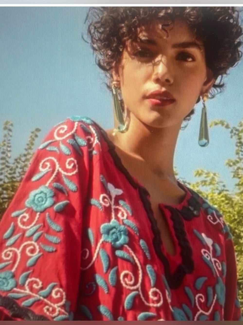 Frances Valentine embroidered charming peacock caftan deep berry navy maxi 12 - Picture 2 of 12